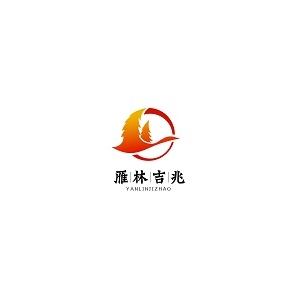 公司官方网站正式运行
